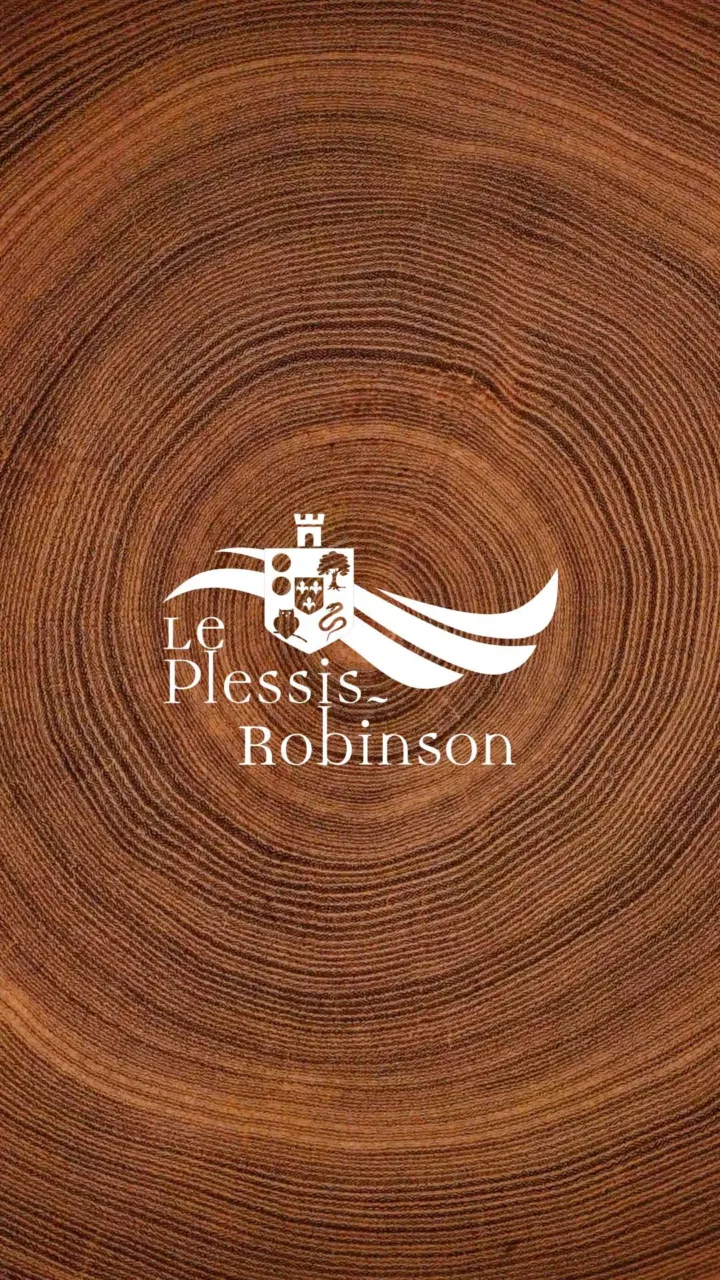 Carte de vœux 2025 du Plessis-Robinson : logo blanc de la ville sur les cernes d’un tronc d’arbre en gros plan